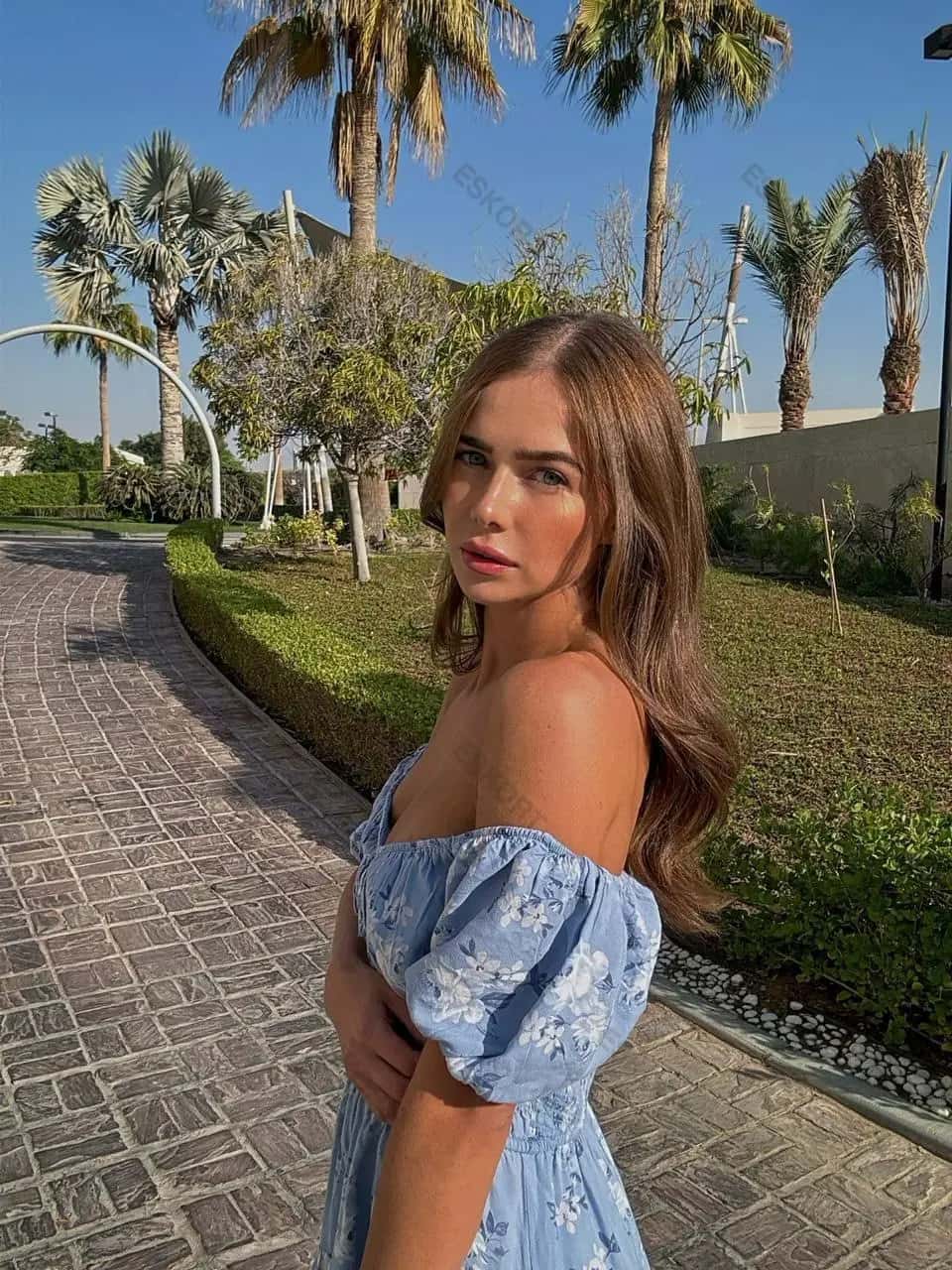 Алексис